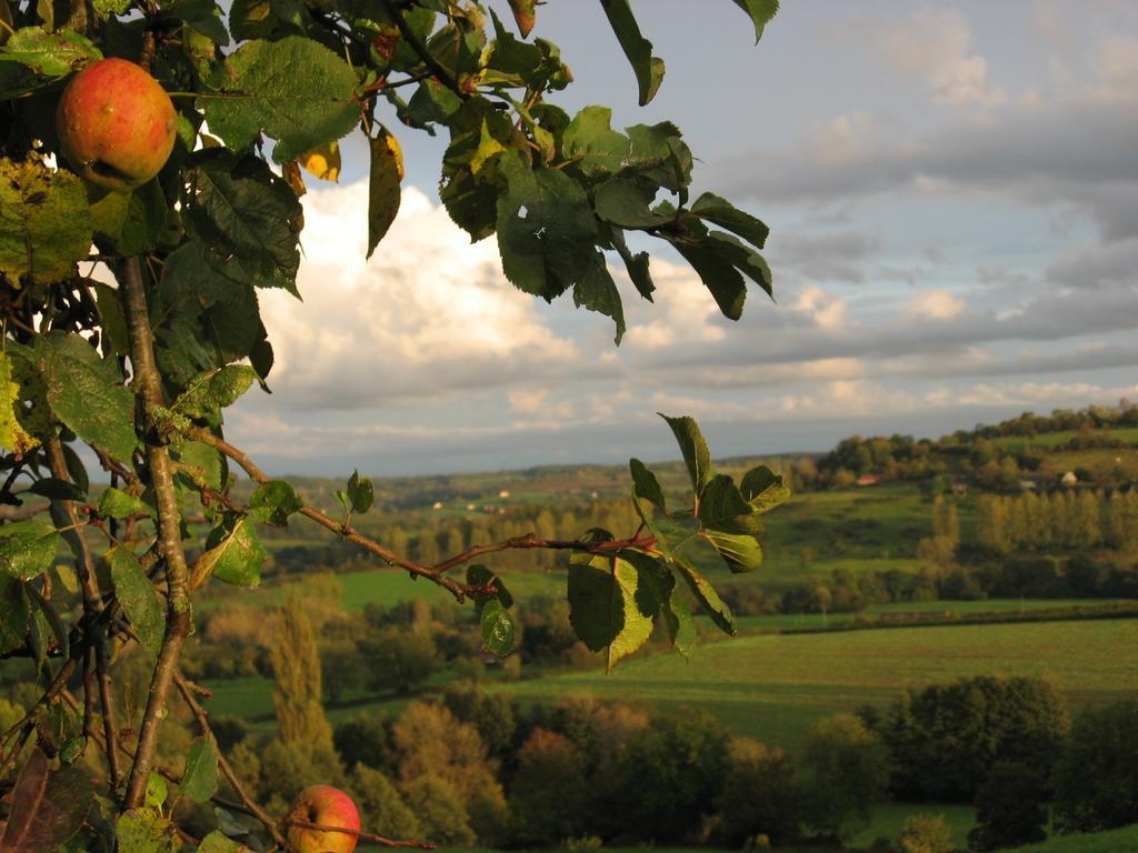 Bed and Breakfast La Boursaie Livarot-Pays-d'Auge Exterior foto