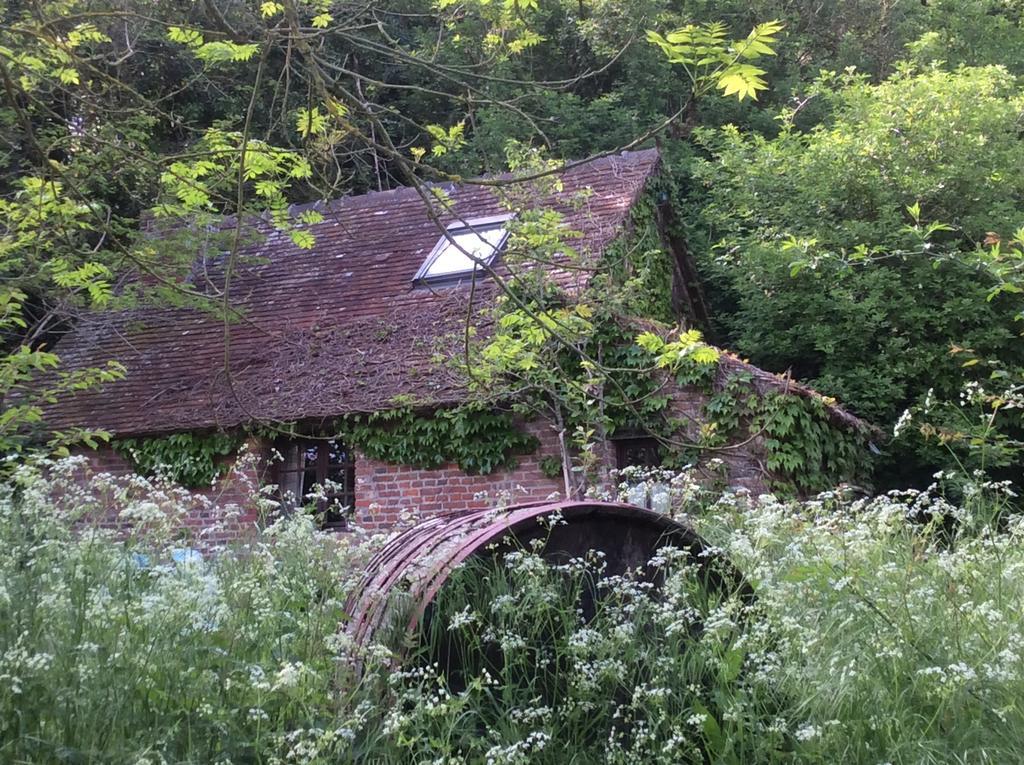 Bed and Breakfast La Boursaie Livarot-Pays-d'Auge Exterior foto